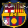 开云APP logo
